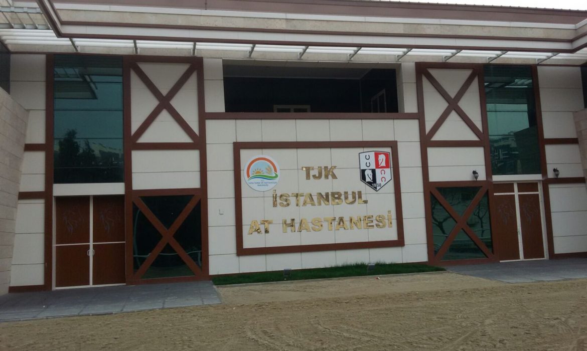 AT HASTENELERİ YAPIMI