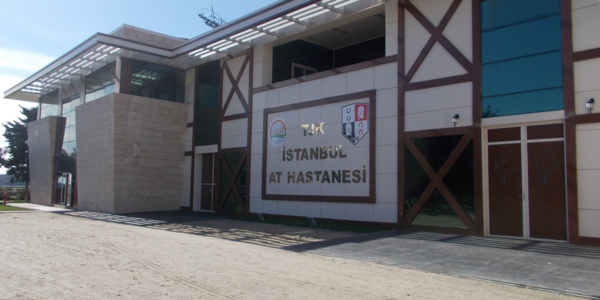 VELİEFENDİ AT HASTANESİ VE İZMİT AT HASTANESİ VELİEFENDİ AT HASTANESİ VE İZMİT AT HASTANESİ
